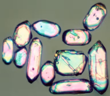 Zircon crystal, showing helium retention challenging billion-year ages.