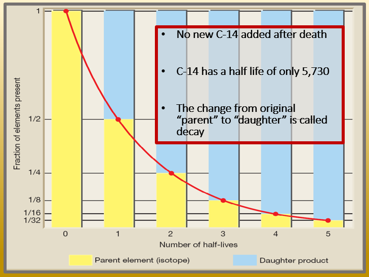 Graph showing detectable carbon-14 in dinosaur bones, suggesting young ages.